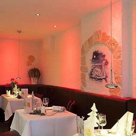 Hotel-pension Am Schwanenteich 3* Wittenberg