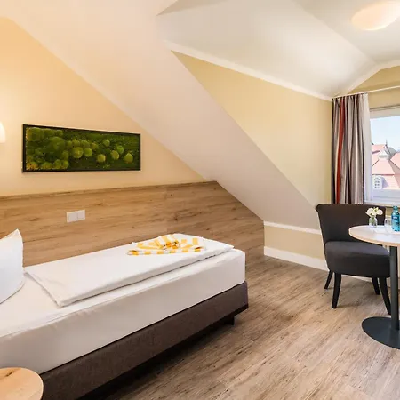 Hotel-pension Am Schwanenteich Hotel Wittenberg