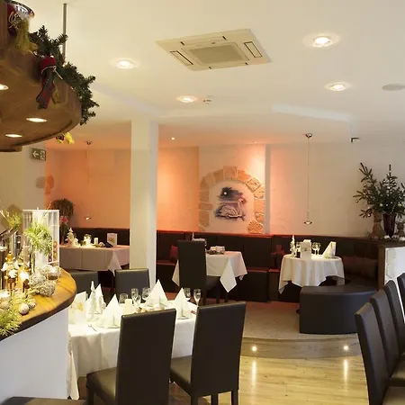 Hotel Hotel-pension Am Schwanenteich