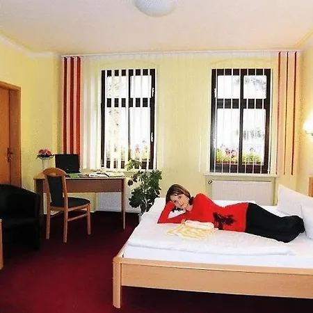 Hotel Hotel-pension Am Schwanenteich Wittenberg