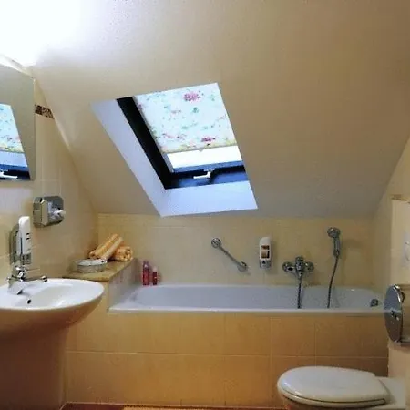 Hotel Hotel-pension Am Schwanenteich 3*