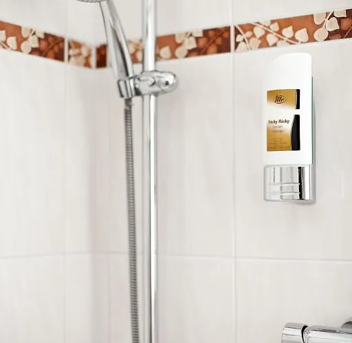 Hotell Hotel-pension Am Schwanenteich Wittenberg